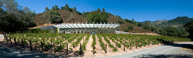 Winery_Panorama