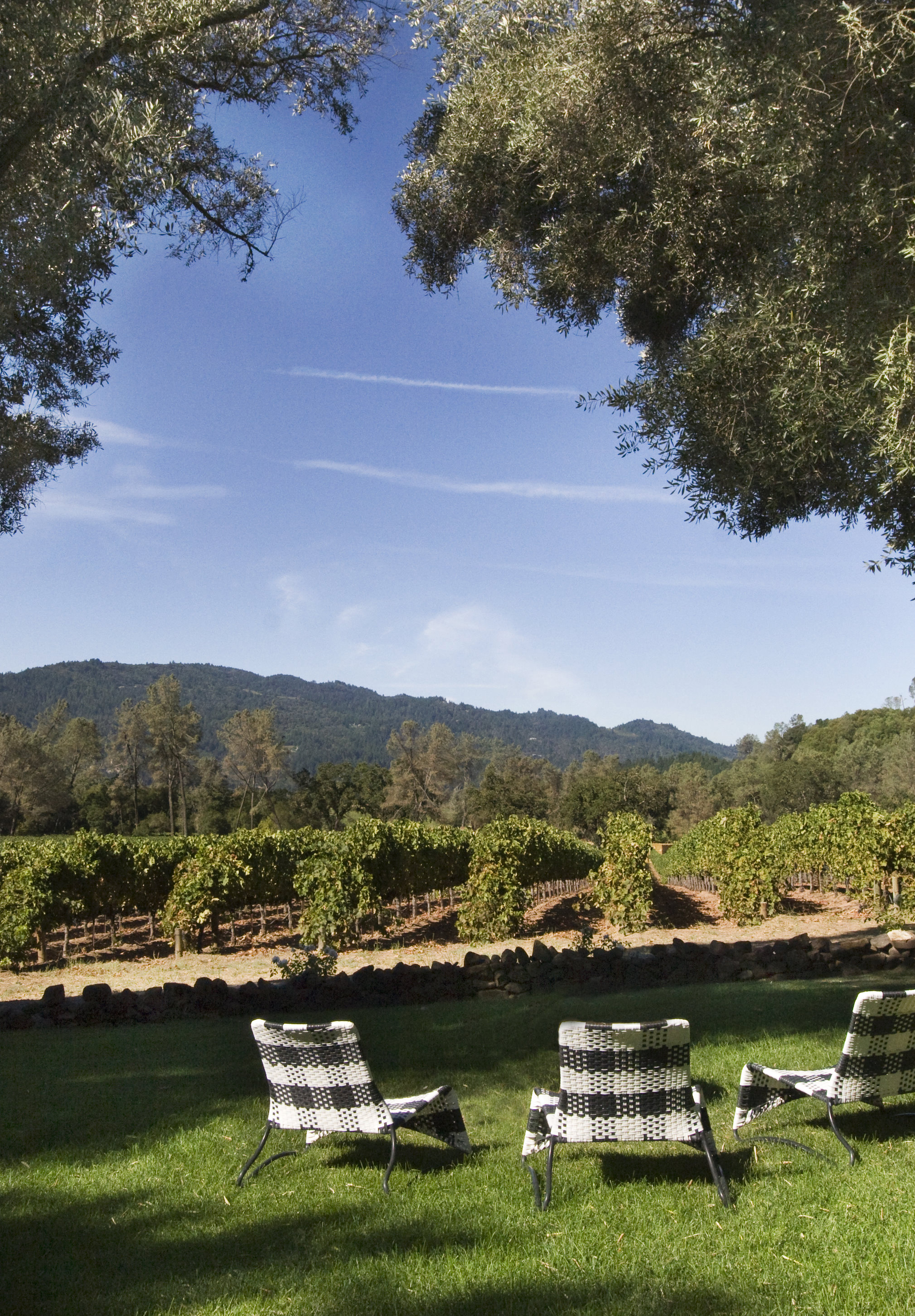 hourglass winery