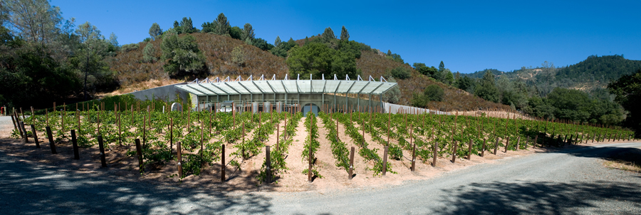 Winery Panorama